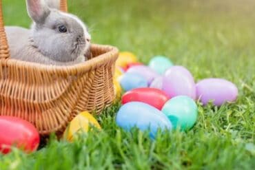 Things to do at Easter for Kids in Deltona Florida