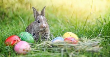 Things to do at Easter for Kids in Rochester Minnesota