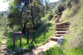 Things to do with Kids in Santa Clarita California