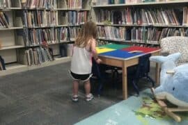 Toy Libraries in Deltona Florida