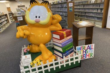 Toy Libraries in Fishers Indiana