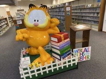 Toy Libraries in Fishers Indiana