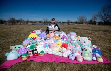 Toy Libraries in Greeley Colorado