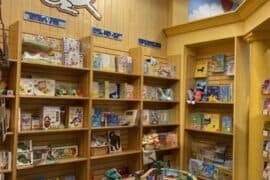 Toy Libraries in Newport News Virginia