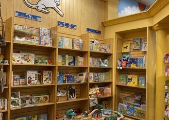 Toy Libraries in Newport News Virginia