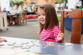 Toy Libraries in Schaumburg Illinois