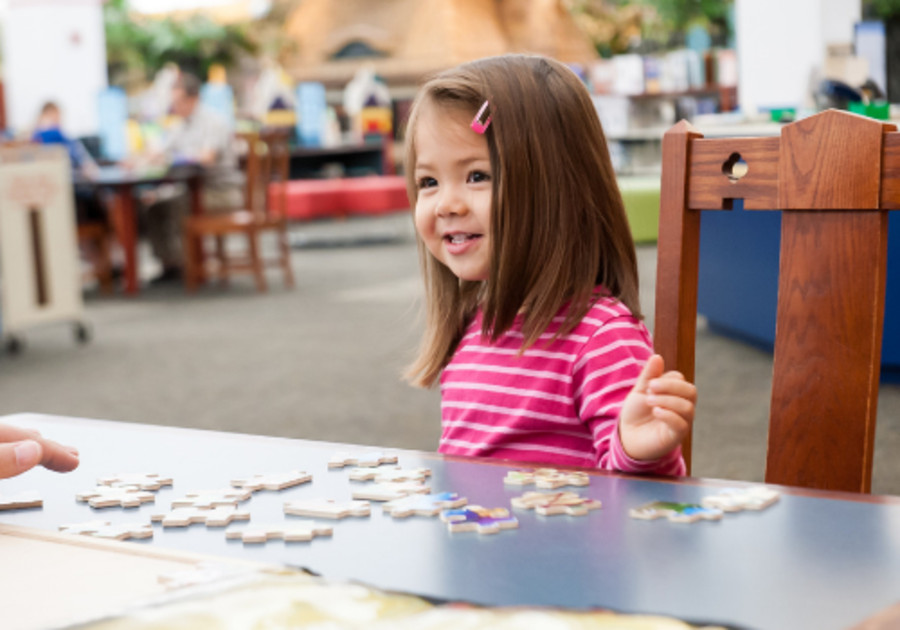 Toy Libraries in Schaumburg Illinois