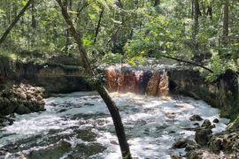 Waterfalls in Davie Florida