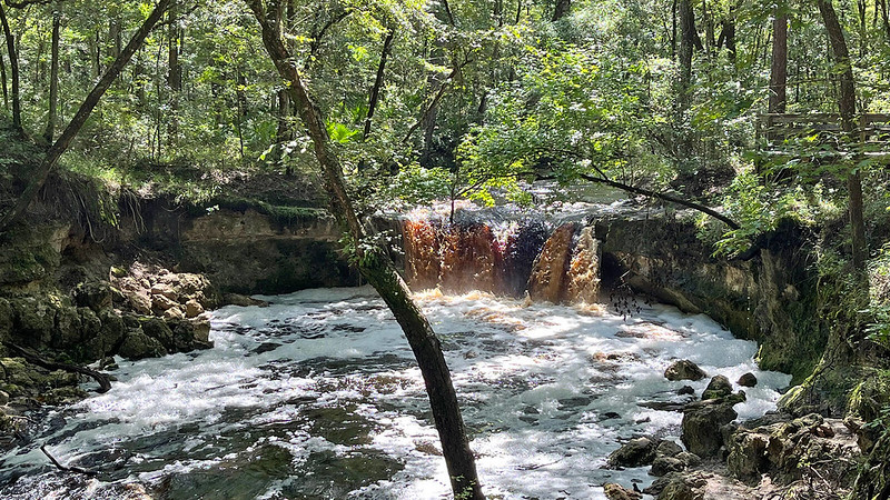 Waterfalls in Davie Florida