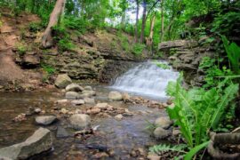 Waterfalls in Elgin Illinois