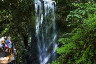 Waterfalls in Hillsborough County Florida