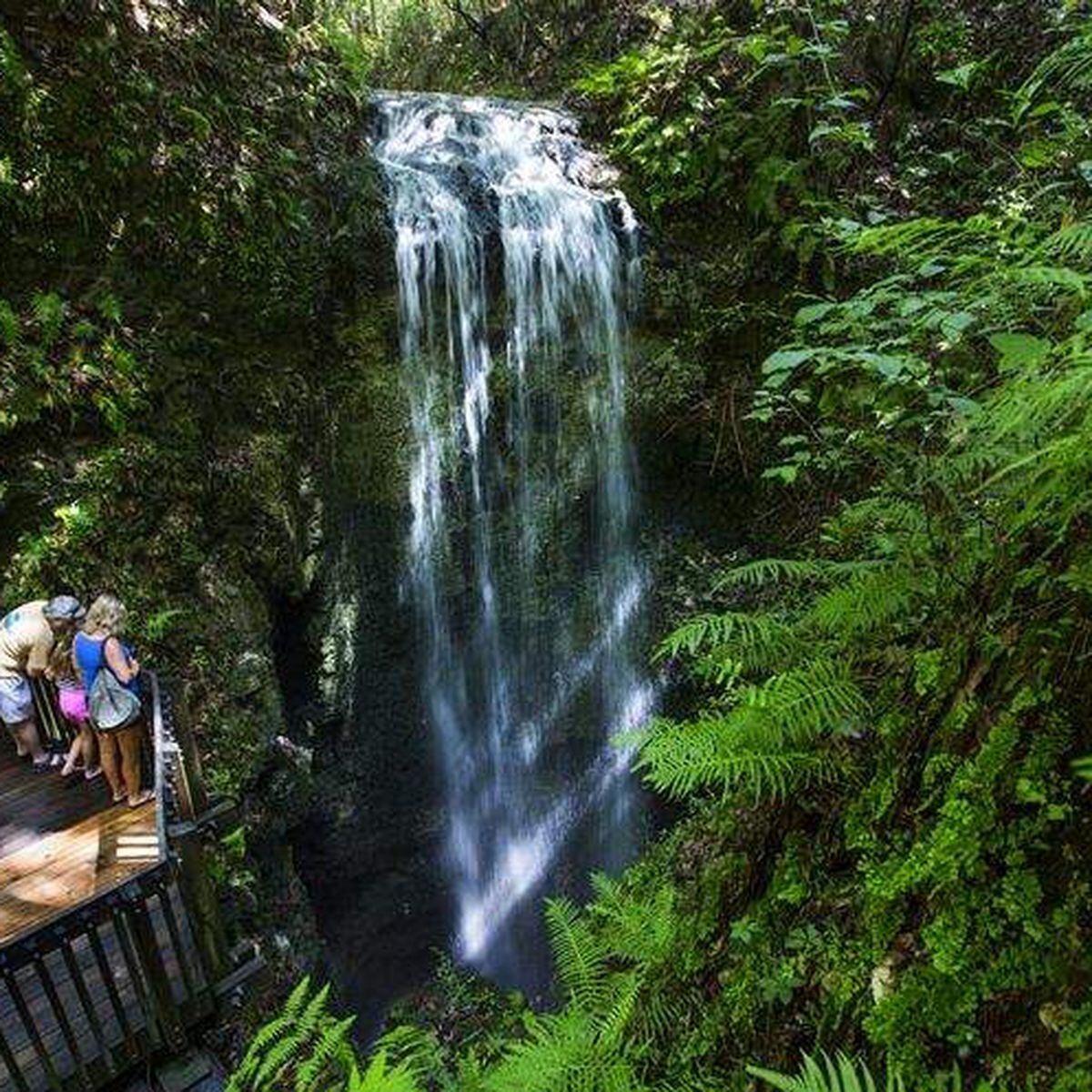 Waterfalls in Hillsborough County Florida