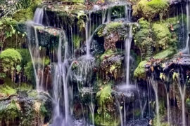 Waterfalls in Homestead Florida