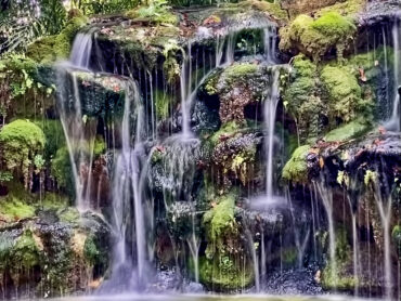 Waterfalls in Homestead Florida