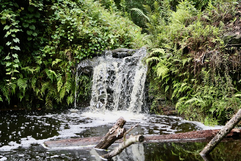 Waterfalls in Jacksonville Florida