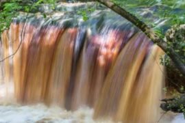 Waterfalls in Lehigh Acres Florida