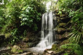 Waterfalls in Miramar Florida