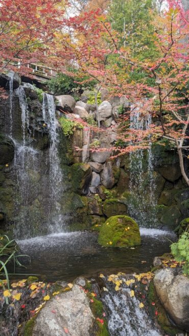 Waterfalls in Naperville Illinois