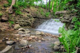 Waterfalls in Springfield Illinois