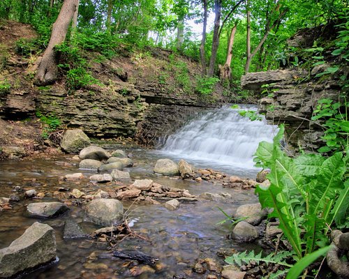 Waterfalls in Springfield Illinois
