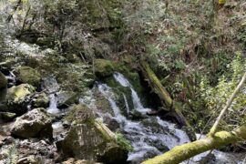 Waterfalls in Vallejo California