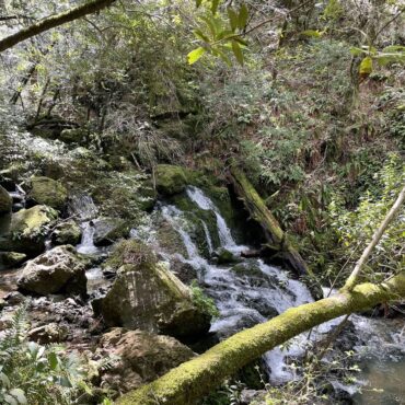 Waterfalls in Vallejo California