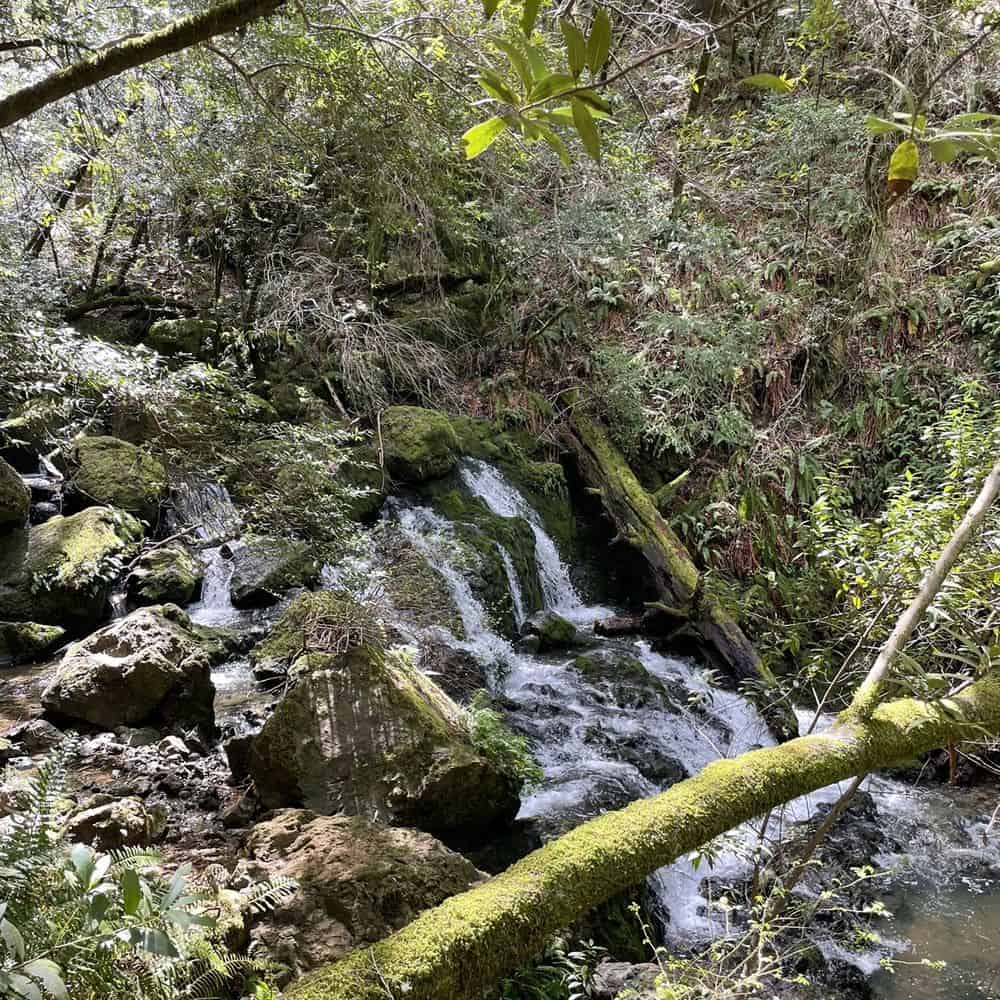 Waterfalls in Vallejo California