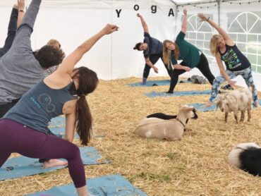 Yoga in Elgin Illinois