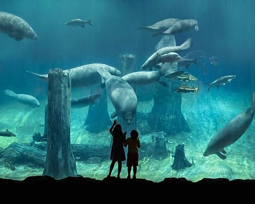 Zoos, Animal Farms and Aquariums in Bedok