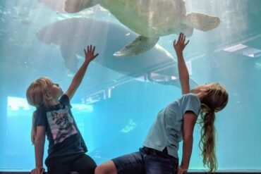 Zoos, Animal Farms and Aquariums in Bismarck North Dakota