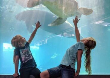 Zoos, Animal Farms and Aquariums in Bismarck North Dakota