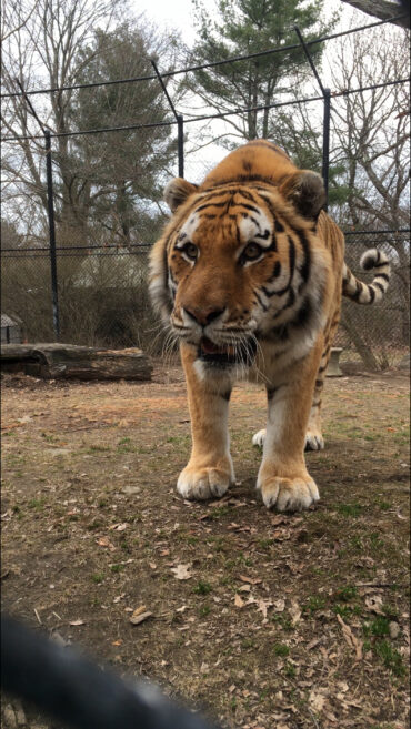 Zoos, Animal Farms and Aquariums in Bridgeport Connecticut