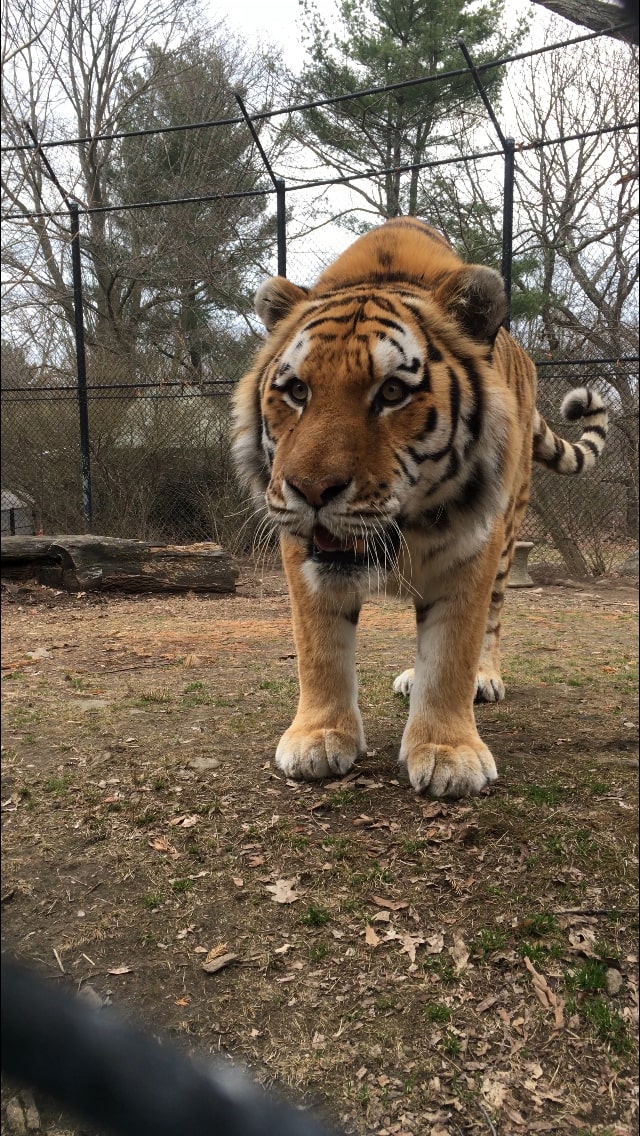 Zoos, Animal Farms and Aquariums in Bridgeport Connecticut