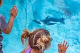 Zoos, Animal Farms and Aquariums in Broken Arrow Oklahoma