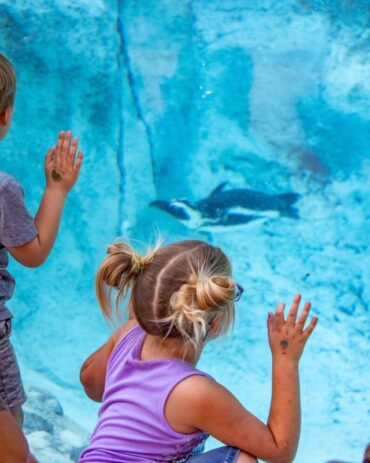 Zoos, Animal Farms and Aquariums in Broken Arrow Oklahoma