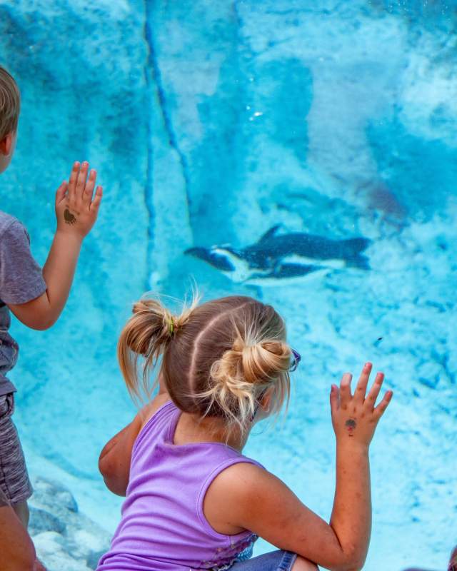 Zoos, Animal Farms and Aquariums in Broken Arrow Oklahoma