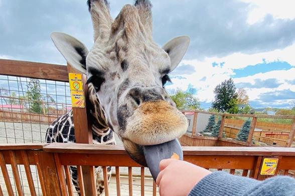 Zoos, Animal Farms and Aquariums in Cheektowaga New York