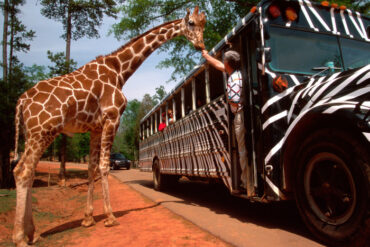 Zoos, Animal Farms and Aquariums in Cheyenne Wyoming