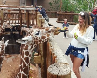 Zoos, Animal Farms and Aquariums in Colorado Springs Colorado