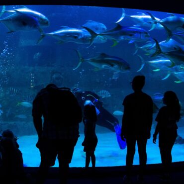 Zoos, Animal Farms and Aquariums in Columbia Maryland