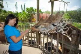 Zoos, Animal Farms and Aquariums in Coral Springs Florida