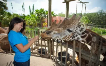 Zoos, Animal Farms and Aquariums in Coral Springs Florida