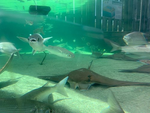 Zoos, Animal Farms and Aquariums in Dothan Alabama