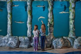 Zoos, Animal Farms and Aquariums in Edmond Oklahoma