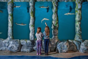 Zoos, Animal Farms and Aquariums in Edmond Oklahoma