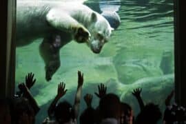 Zoos, Animal Farms and Aquariums in Ellicott City Maryland