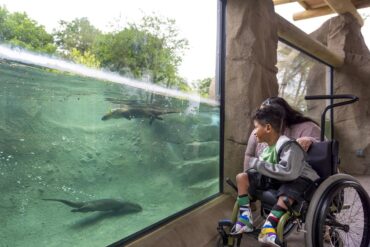 Zoos, Animal Farms and Aquariums in Fort Wayne Indiana