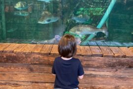 Zoos, Animal Farms and Aquariums in Glen Burnie Maryland