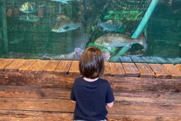 Zoos, Animal Farms and Aquariums in Glen Burnie Maryland