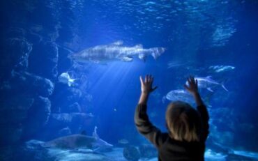 Zoos, Animal Farms and Aquariums in Hampton Virginia